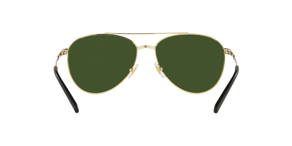 Arnette Sidecar 0AN3085 739/71 58 Brushed Light Gold / Dark Green 58 / Plastic / Metal