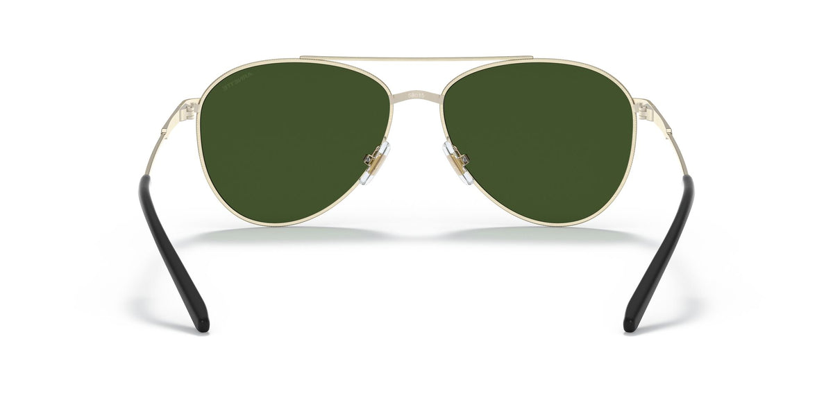 Arnette Sidecar 0AN3085 739/71 58 Brushed Light Gold / Dark Green 58 / Plastic / Metal