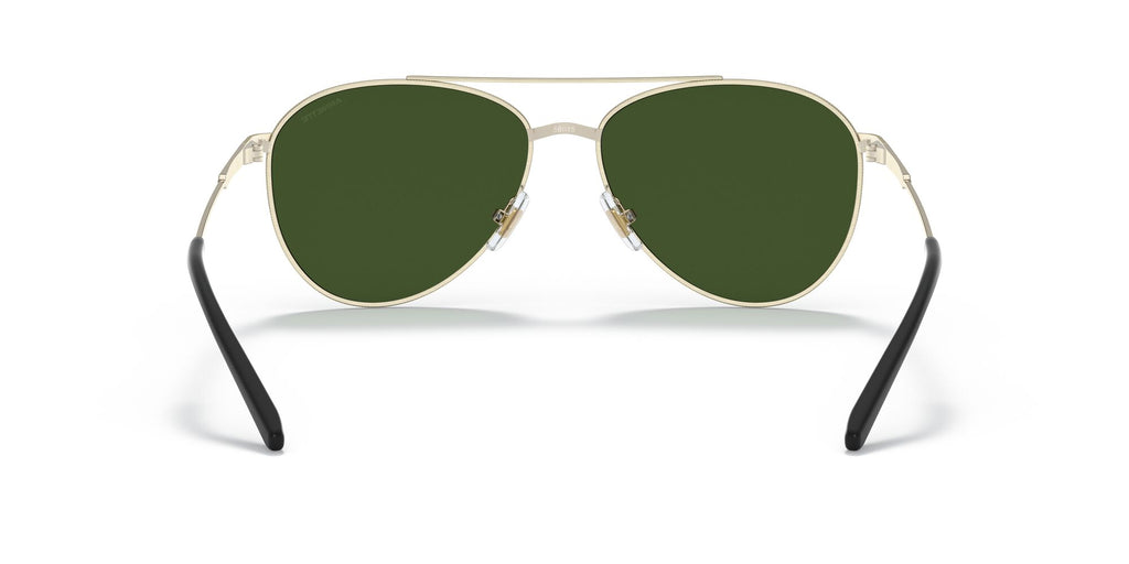 Arnette Sidecar 0AN3085 739/71 58 Brushed Light Gold / Dark Green 58 / Plastic / Metal