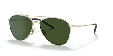 Arnette Sidecar 0AN3085 739/71 58 Brushed Light Gold / Dark Green 58 / Plastic / Metal