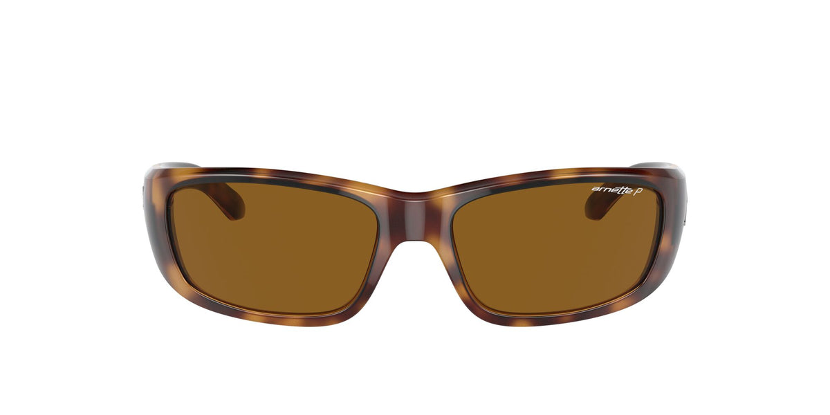 Arnette Quick 0AN4178 Draw Shiny Havana / Polarised Brown Classic B 59 / Plastic / Injected / Nylon