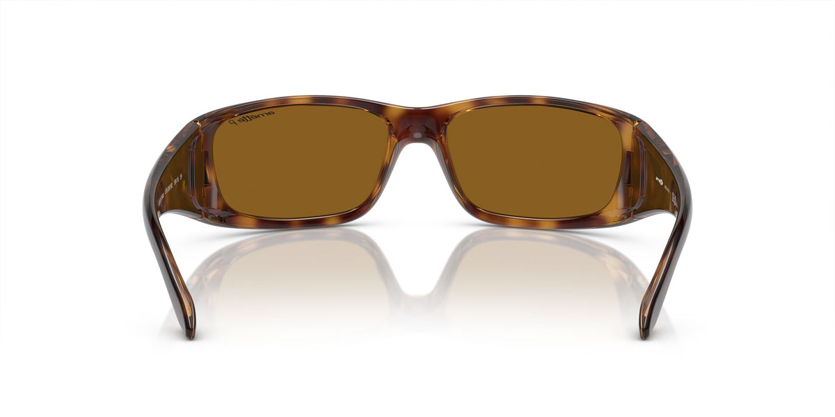 Arnette Quick 0AN4178 Draw Shiny Havana / Polarised Brown Classic B 59 / Plastic / Injected / Nylon