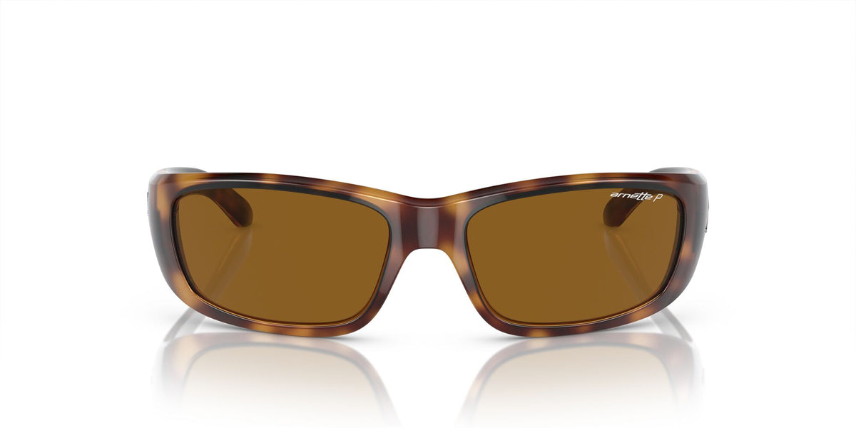 Arnette Quick 0AN4178 Draw Shiny Havana / Polarised Brown Classic B 59 / Plastic / Injected / Nylon
