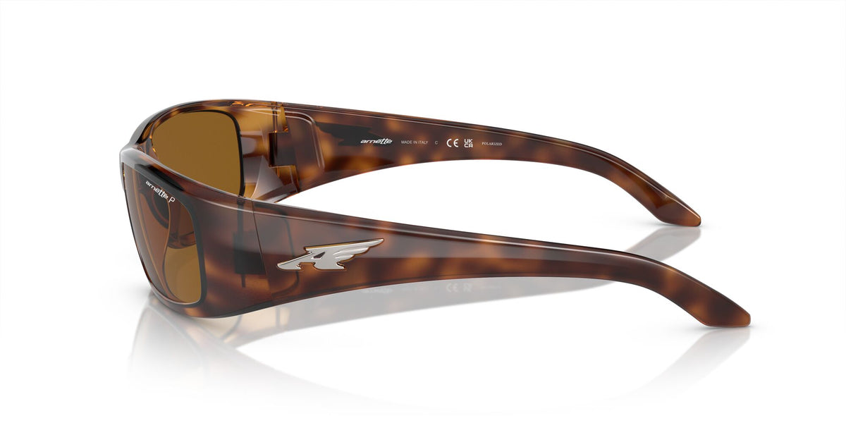 Arnette Quick 0AN4178 Draw Shiny Havana / Polarised Brown Classic B 59 / Plastic / Injected / Nylon