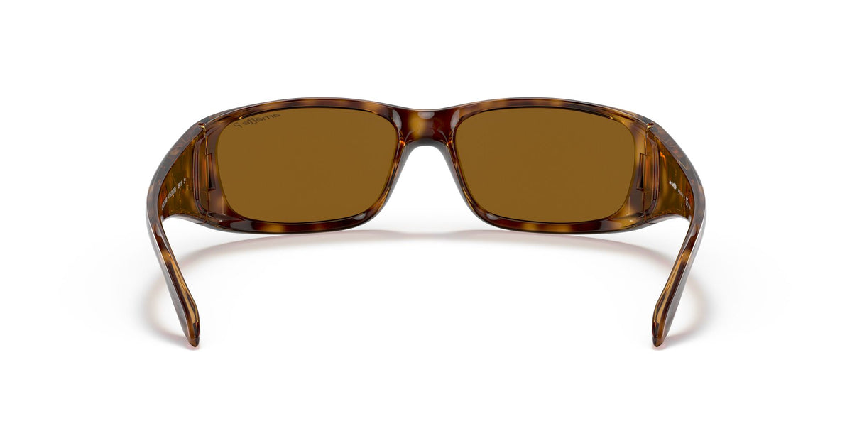 Arnette Quick 0AN4178 Draw Shiny Havana / Polarised Brown Classic B 59 / Plastic / Injected / Nylon
