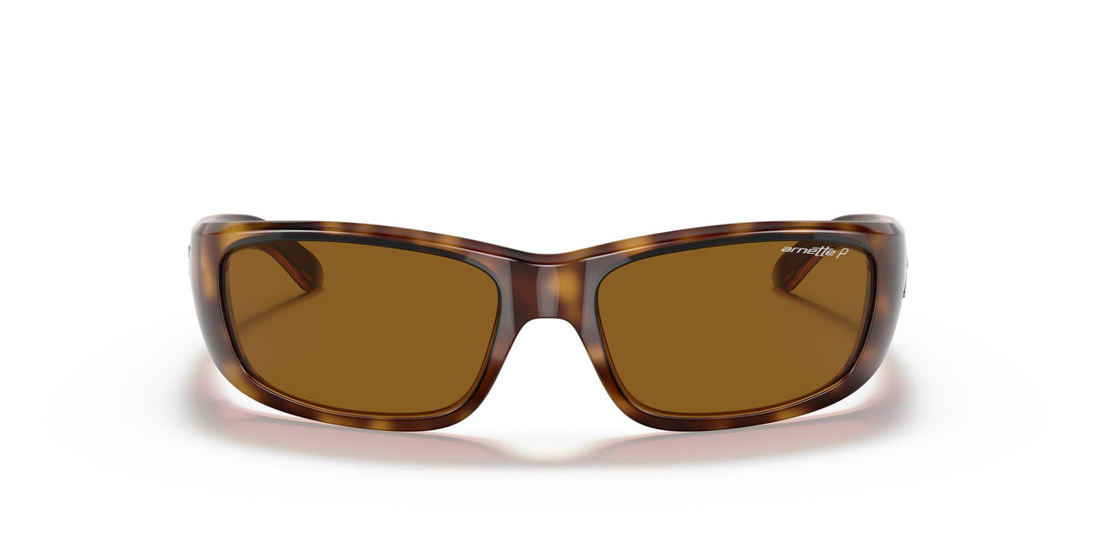Arnette Quick 0AN4178 Draw Shiny Havana / Polarised Brown Classic B 59 / Plastic / Injected / Nylon
