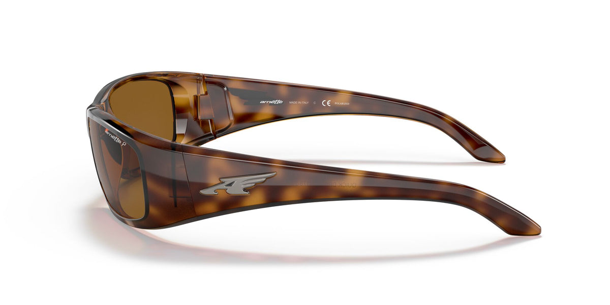 Arnette Quick 0AN4178 Draw Shiny Havana / Polarised Brown Classic B 59 / Plastic / Injected / Nylon