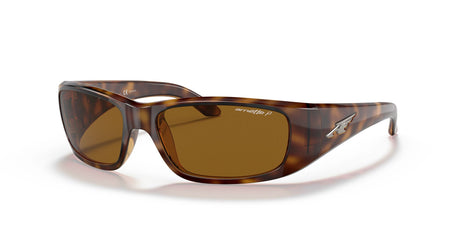 Arnette Quick 0AN4178 Draw Shiny Havana / Polarised Brown Classic B 59 / Plastic / Injected / Nylon