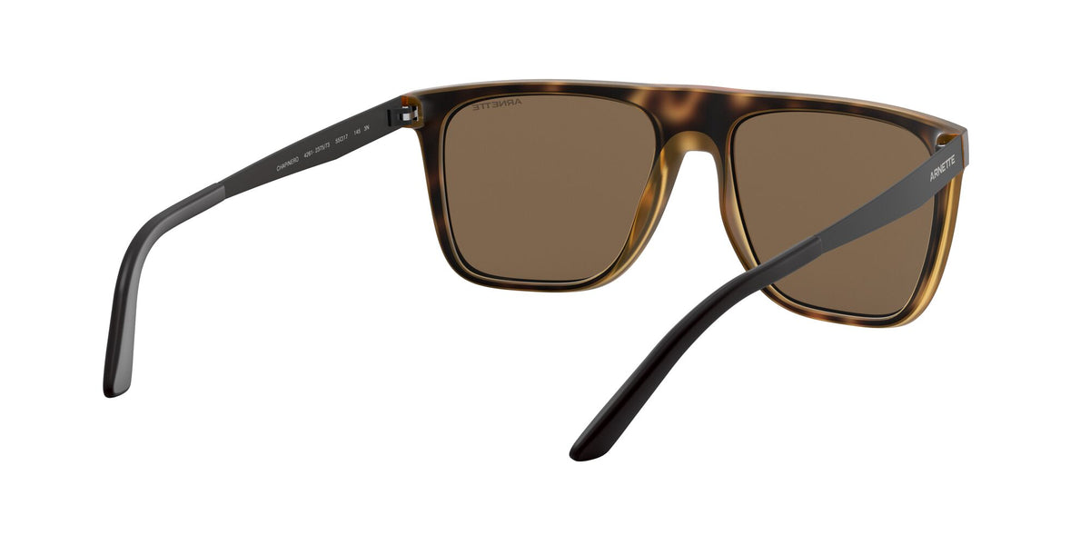 Arnette Chapinero 0AN4261 Matte Havana / Dark Brown 55 / Plastic / Injected / Metal
