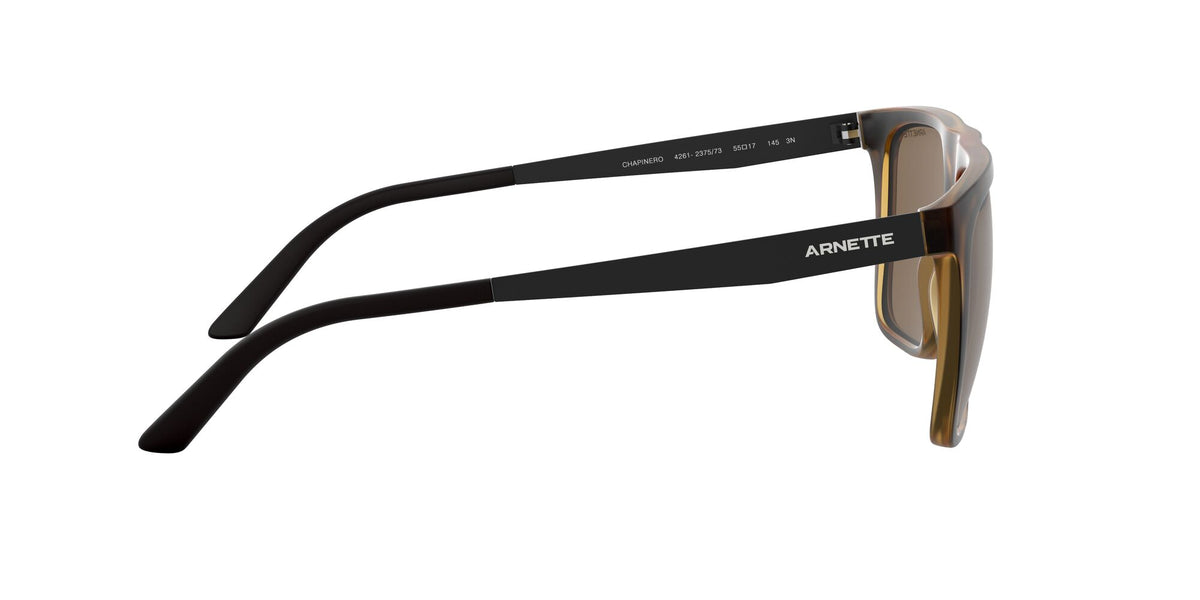 Arnette Chapinero 0AN4261 Matte Havana / Dark Brown 55 / Plastic / Injected / Metal