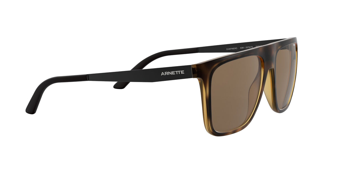 Arnette Chapinero 0AN4261 Matte Havana / Dark Brown 55 / Plastic / Injected / Metal