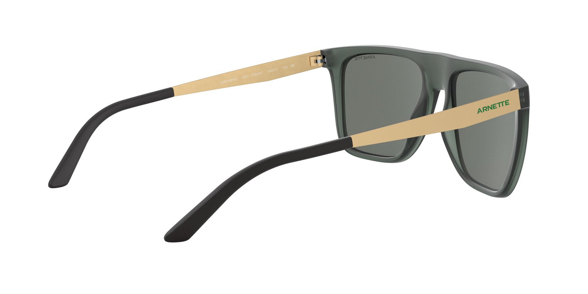 Arnette Chapinero 0AN4261 Matte Transparent Green / Dark Grey 55 / Plastic / Injected / Metal