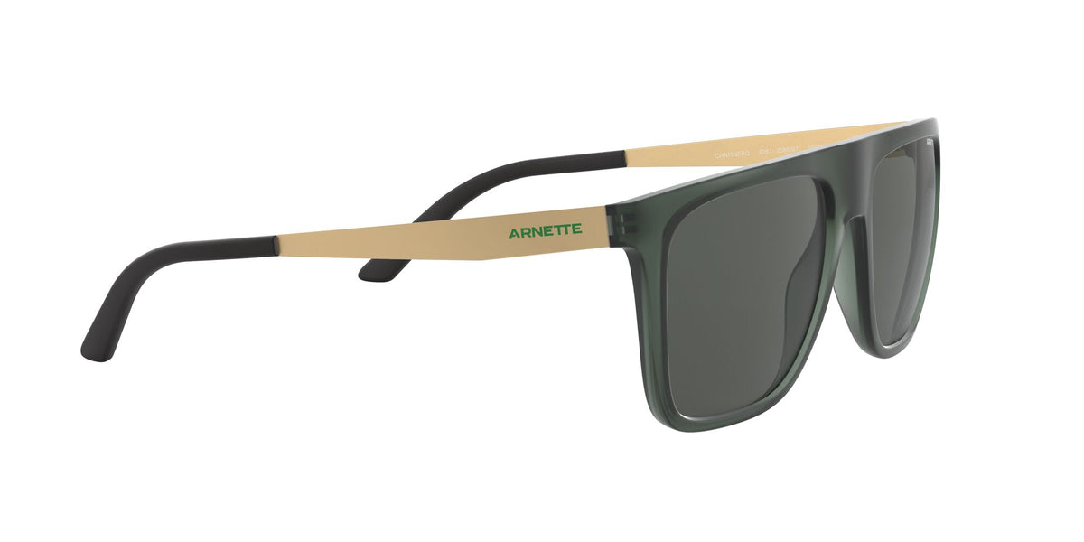 Arnette Chapinero 0AN4261 Matte Transparent Green / Dark Grey 55 / Plastic / Injected / Metal