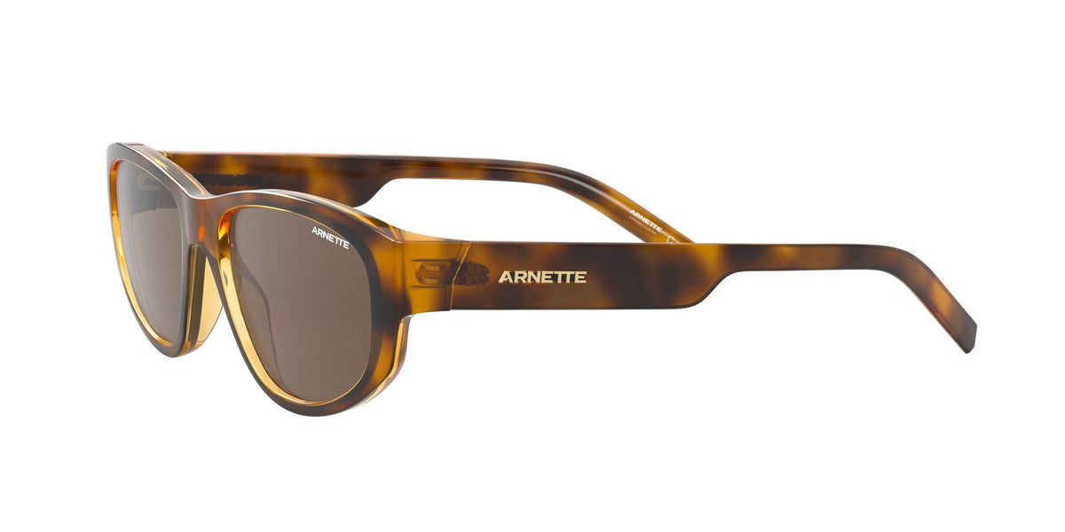 Arnette Daemon 0AN4269 Matte Havana / Dark Brown 54 / Plastic / Injected / Molded