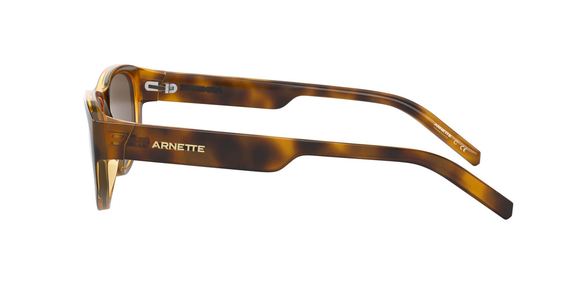 Arnette Daemon 0AN4269 Matte Havana / Dark Brown 54 / Plastic / Injected / Molded
