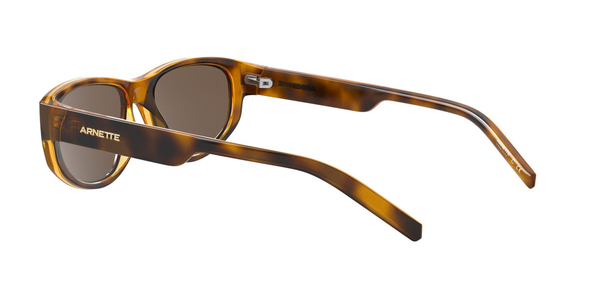 Arnette Daemon 0AN4269 Matte Havana / Dark Brown 54 / Plastic / Injected / Molded