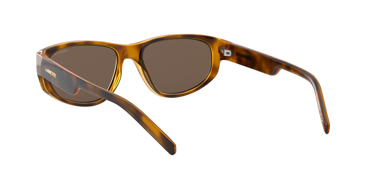 Arnette Daemon 0AN4269 Matte Havana / Dark Brown 54 / Plastic / Injected / Molded