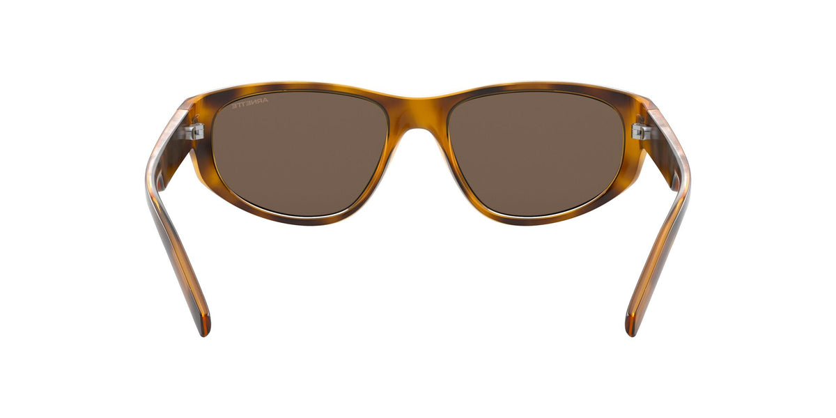Arnette Daemon 0AN4269 Matte Havana / Dark Brown 54 / Plastic / Injected / Molded