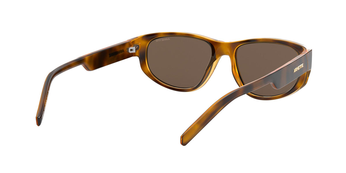 Arnette Daemon 0AN4269 Matte Havana / Dark Brown 54 / Plastic / Injected / Molded