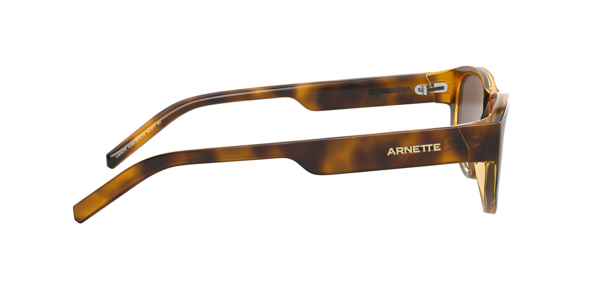 Arnette Daemon 0AN4269 Matte Havana / Dark Brown 54 / Plastic / Injected / Molded
