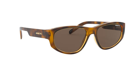 Arnette Daemon 0AN4269 Matte Havana / Dark Brown 54 / Plastic / Injected / Molded