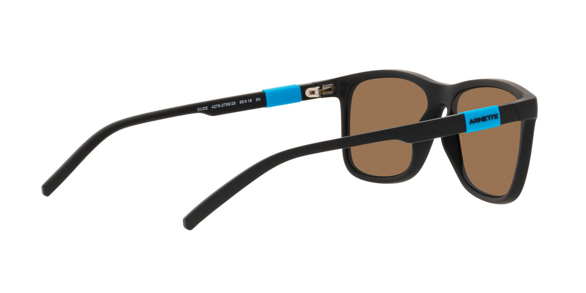 Arnette Dude 0AN4276 275825 56 Matte Black / Green Mirror Light Blue 56 / Plastic / Plastic
