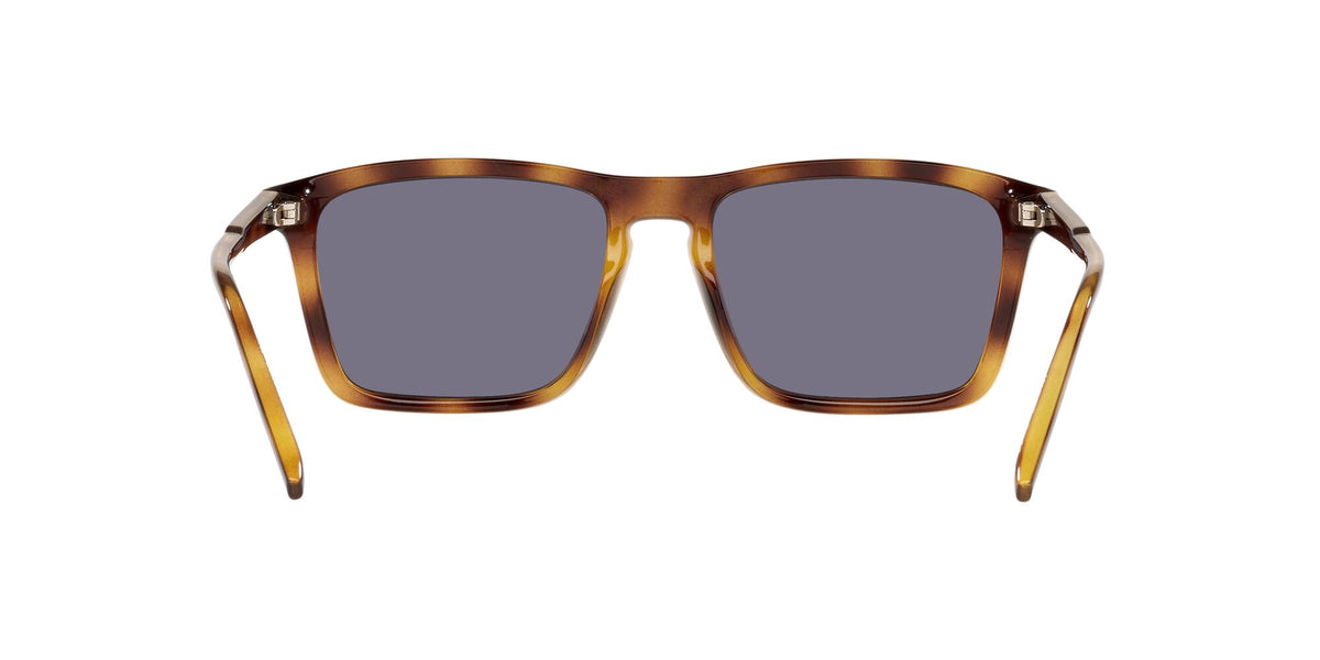 Arnette Shyguy 0AN4283 2675/2 56 Havana / Emerald Iridium 56 / Plastic / Plastic