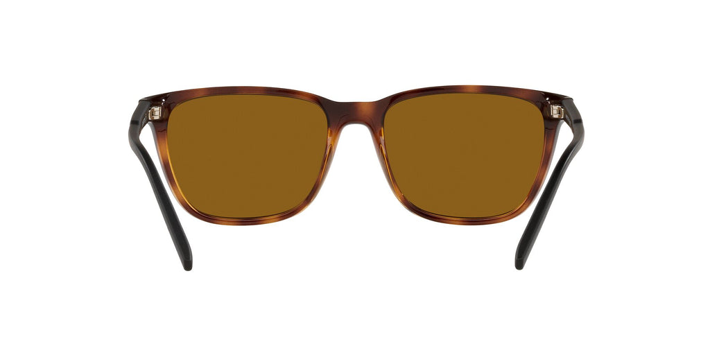 Arnette Cortex 0AN4291 277083 57 Dark Havana / Brown Polarized 57 / Plastic / Plastic