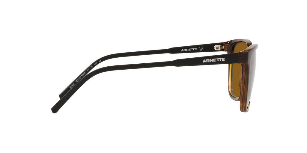 Arnette Cortex 0AN4291 277083 57 Dark Havana / Brown Polarized 57 / Plastic / Plastic