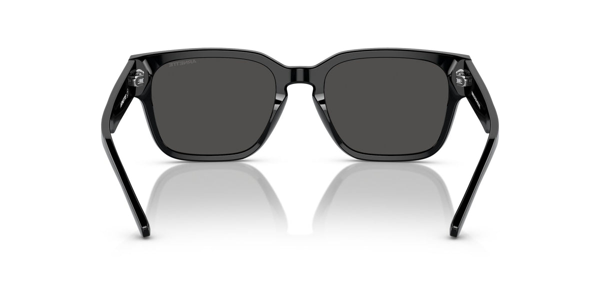 Arnette Type Z 0AN4294 121487 54 Black / Dark Grey 54 / Polyamide Bio / Acetate / Acetate
