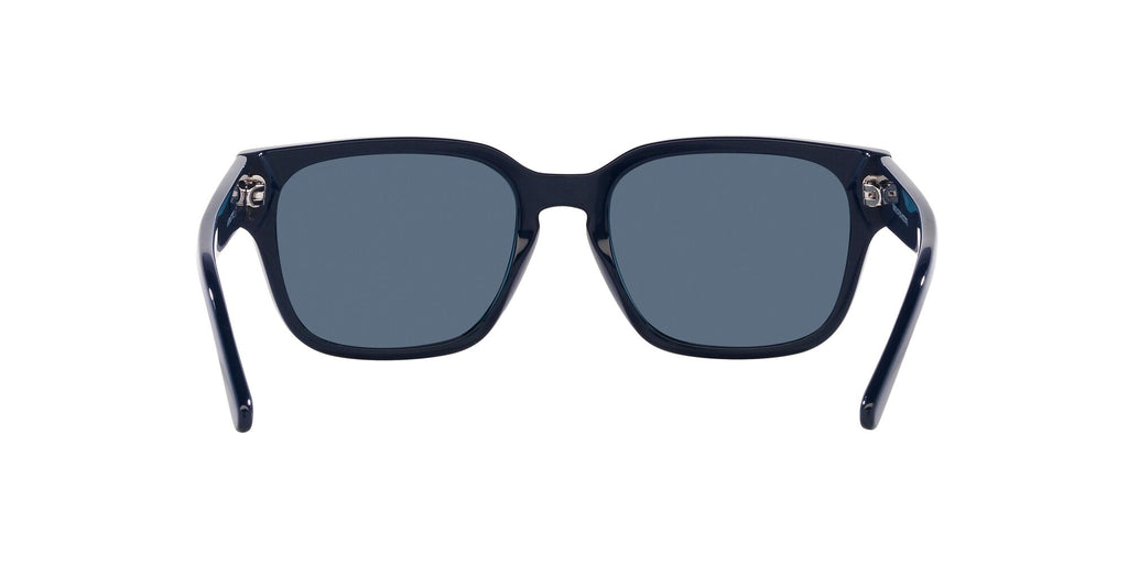 Arnette Type Z 0AN4294 122180 54 Navy Blue / Dark Blue 54 / Polyamide Bio / Acetate / Acetate