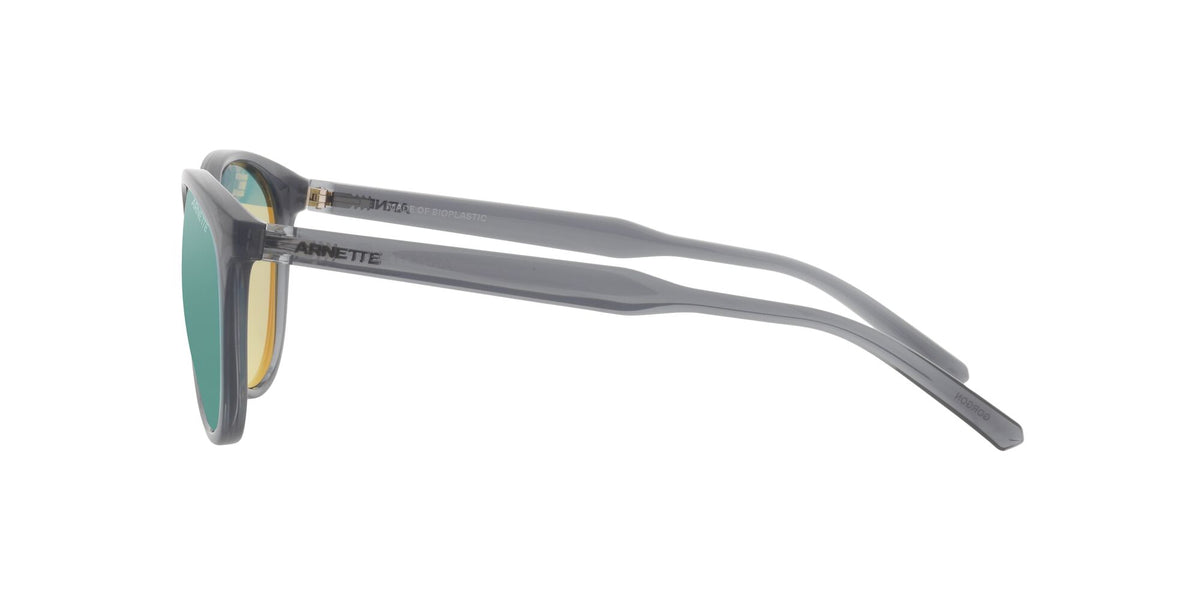 Arnette Gorgon 0AN4299 278625 54 Transparent Gray / Light Azure Mirror Teal 54 / Plastic / Plastic