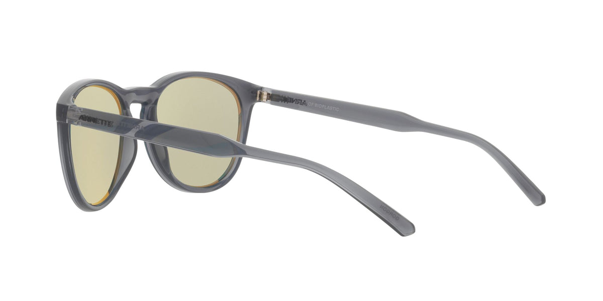 Arnette Gorgon 0AN4299 278625 54 Transparent Gray / Light Azure Mirror Teal 54 / Plastic / Plastic
