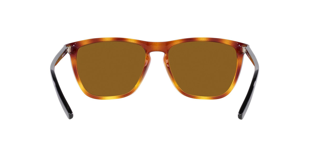 Arnette Fry 0AN4301 277083 55 Dark Havana / Dark Brown Polarized 55 / Polycarbonate / Injected / Molded
