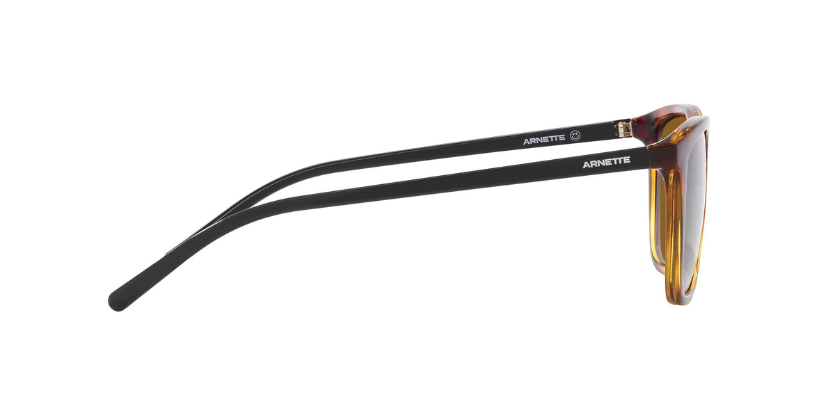 Arnette Fry 0AN4301 277083 55 Dark Havana / Dark Brown Polarized 55 / Polycarbonate / Injected / Molded