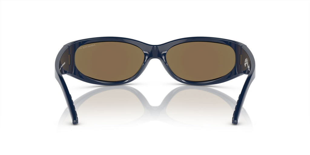 Arnette Catfish 0AN4302 275422 62 Dark Blue / Dark Grey Mirror Water Polarized 62 / Polycarbonate / Injected / Molded