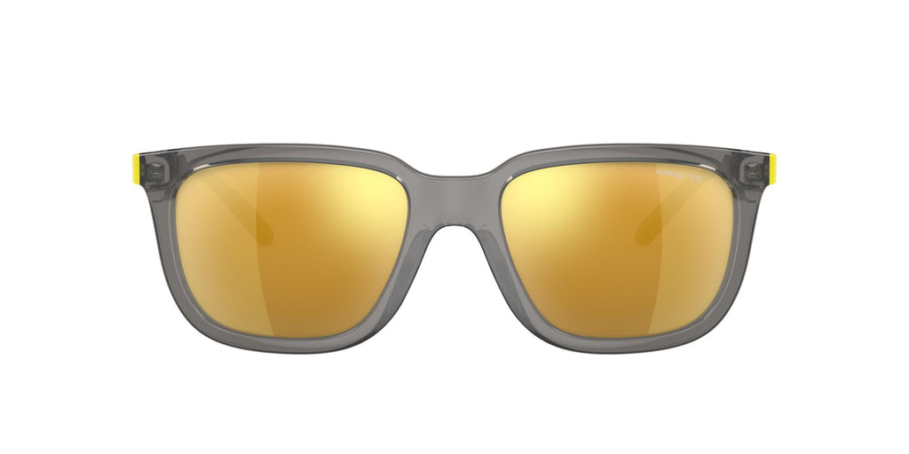 Arnette Plaka 0AN4306 28275A 54 Transparent Grey / Mirror Yellow Gold 54 / Plastic / Plastic