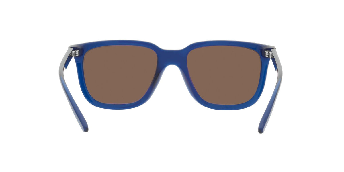 Arnette Plaka 0AN4306 284773 54 Transparent Blue Cobalto / Dark Brown 54 / Plastic / Plastic