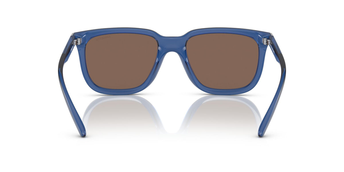 Arnette Plaka 0AN4306 284773 54 Transparent Blue Cobalto / Dark Brown 54 / Plastic / Plastic