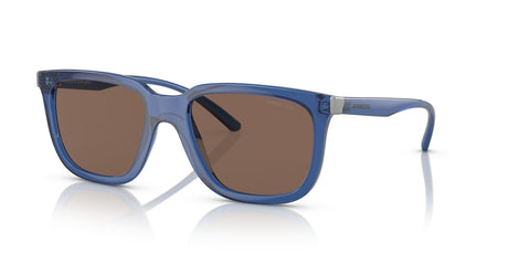 Arnette Plaka 0AN4306 284773 54 Transparent Blue Cobalto / Dark Brown 54 / Plastic / Plastic