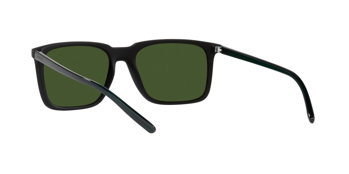 Arnette Trigon 0AN4314 285271 56 Matte Black / Dark Green 56 / Plastic / Plastic