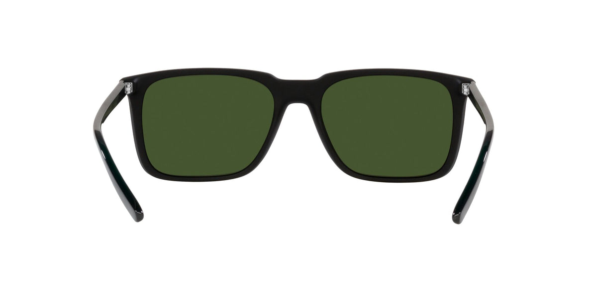 Arnette Trigon 0AN4314 285271 56 Matte Black / Dark Green 56 / Plastic / Plastic