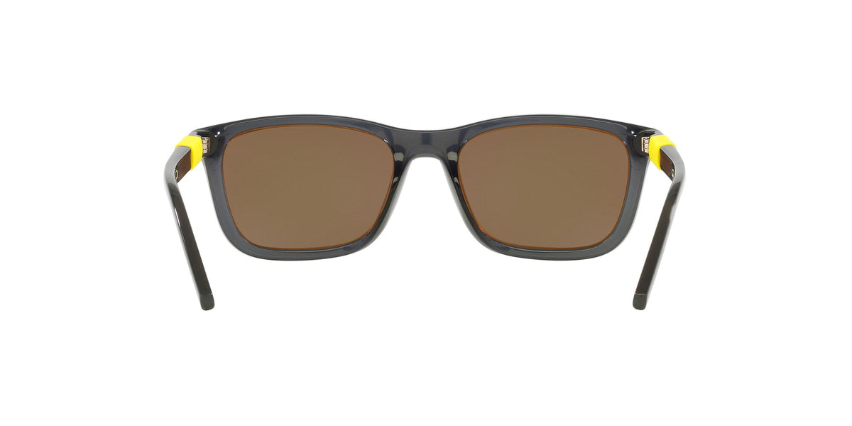 Arnette Teen Speerit 0AN4315 27865A 51 Transparent Grey / Gold 51 / Polycarbonate / Injected / Injected