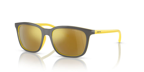 Arnette C'Roll 0AN4316 28815A 51 Grey / Gold 51 / Polycarbonate / Injected / Injected