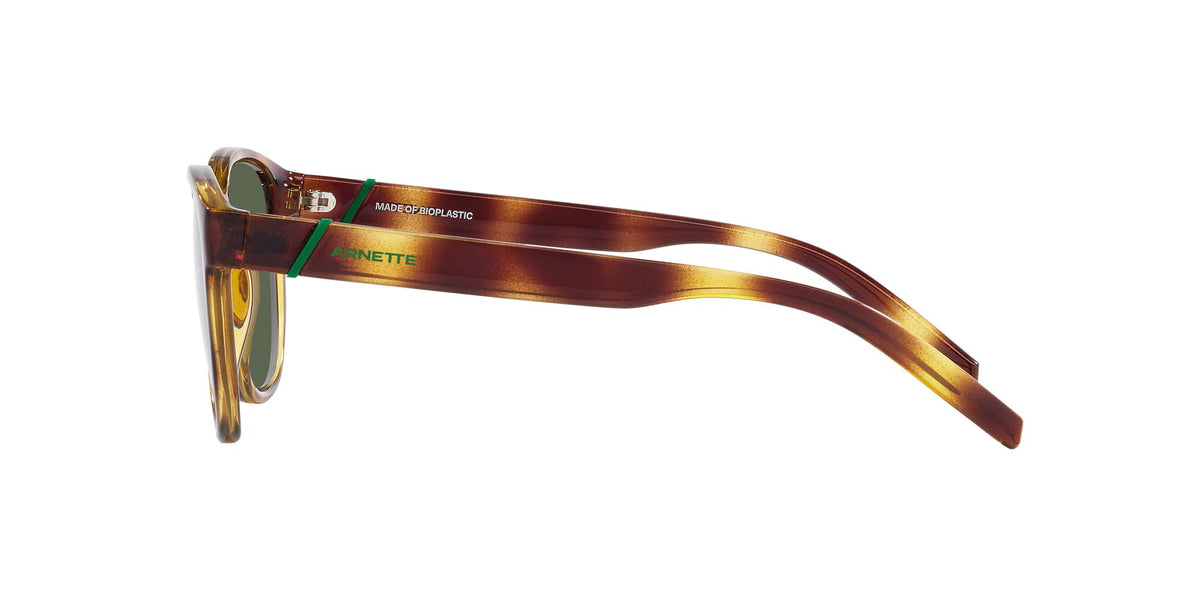 Arnette Barranco 0AN4319 27709A 53 Dark Havana / Dark Green Polarized 53 / Polycarbonate / Injected / Injected