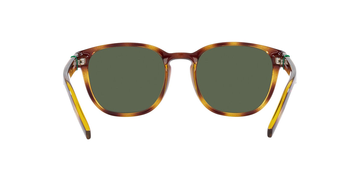 Arnette Barranco 0AN4319 27709A 53 Dark Havana / Dark Green Polarized 53 / Polycarbonate / Injected / Injected