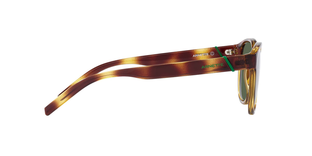 Arnette Barranco 0AN4319 27709A 53 Dark Havana / Dark Green Polarized 53 / Polycarbonate / Injected / Injected