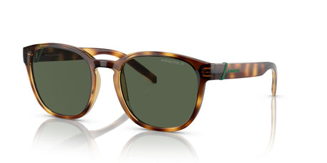 Arnette Barranco 0AN4319 27709A 53 Dark Havana / Dark Green Polarized 53 / Polycarbonate / Injected / Injected