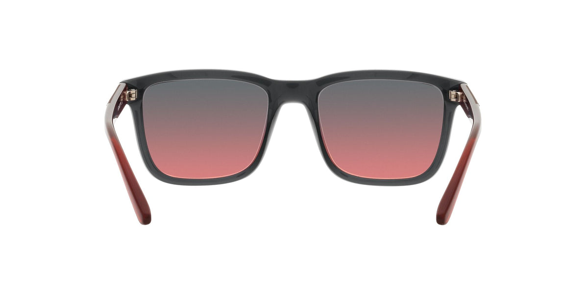 Arnette Lebowl 0AN4321 278677 54 Transparent Grey / Fifty Black/Red 54 / Polycarbonate / Injected / Injected