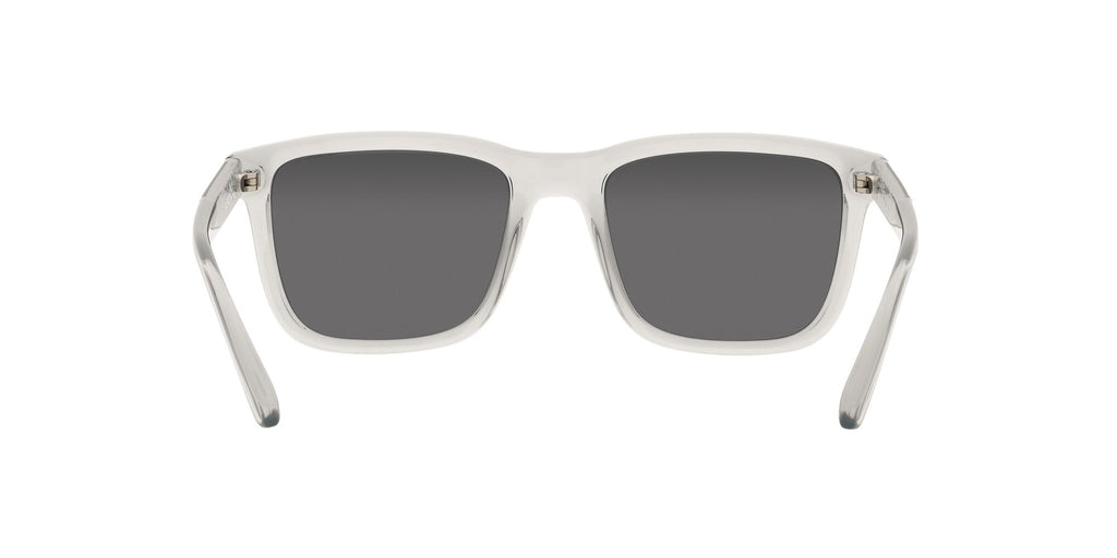 Arnette Lebowl 0AN4321 2858Z3 54 Transparent Grey / Polarized Grey 54 / Polycarbonate / Injected / Injected